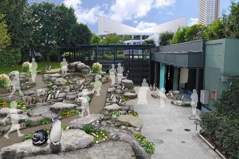 兵庫・神戸の大人気観光スポット「須磨海浜水族園」の魅力大特集！家族週末レジャーにぴったり
