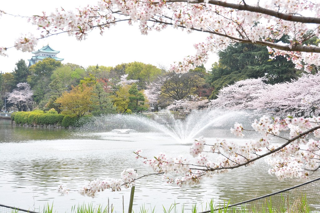 名古屋城の見どころ&周辺スポットまとめ！尾張の歴史を辿る旅に出よう