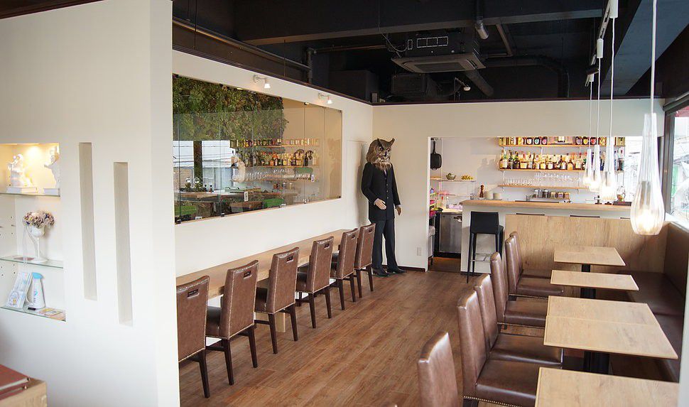 猫×フクロウのコラボも！大阪ふくろうカフェ特集