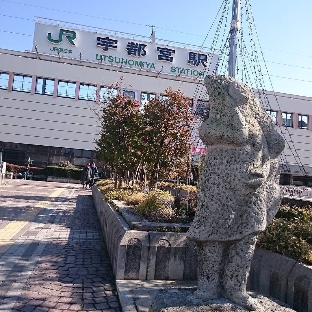&rdquo;地元の人に愛され続ける&rdquo; 宇都宮餃子の人気店「正嗣」の魅力を大解剖！
