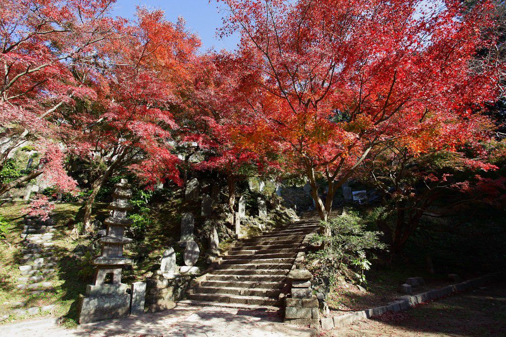 鎌倉四大寺のひとつ！日本初の禅寺・建長寺でハイキングをしよう！