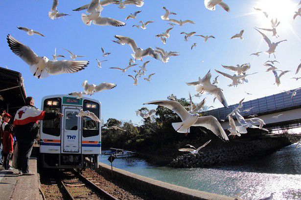 静岡・天竜浜名湖鉄道！「日本の原風景」に癒される旅！