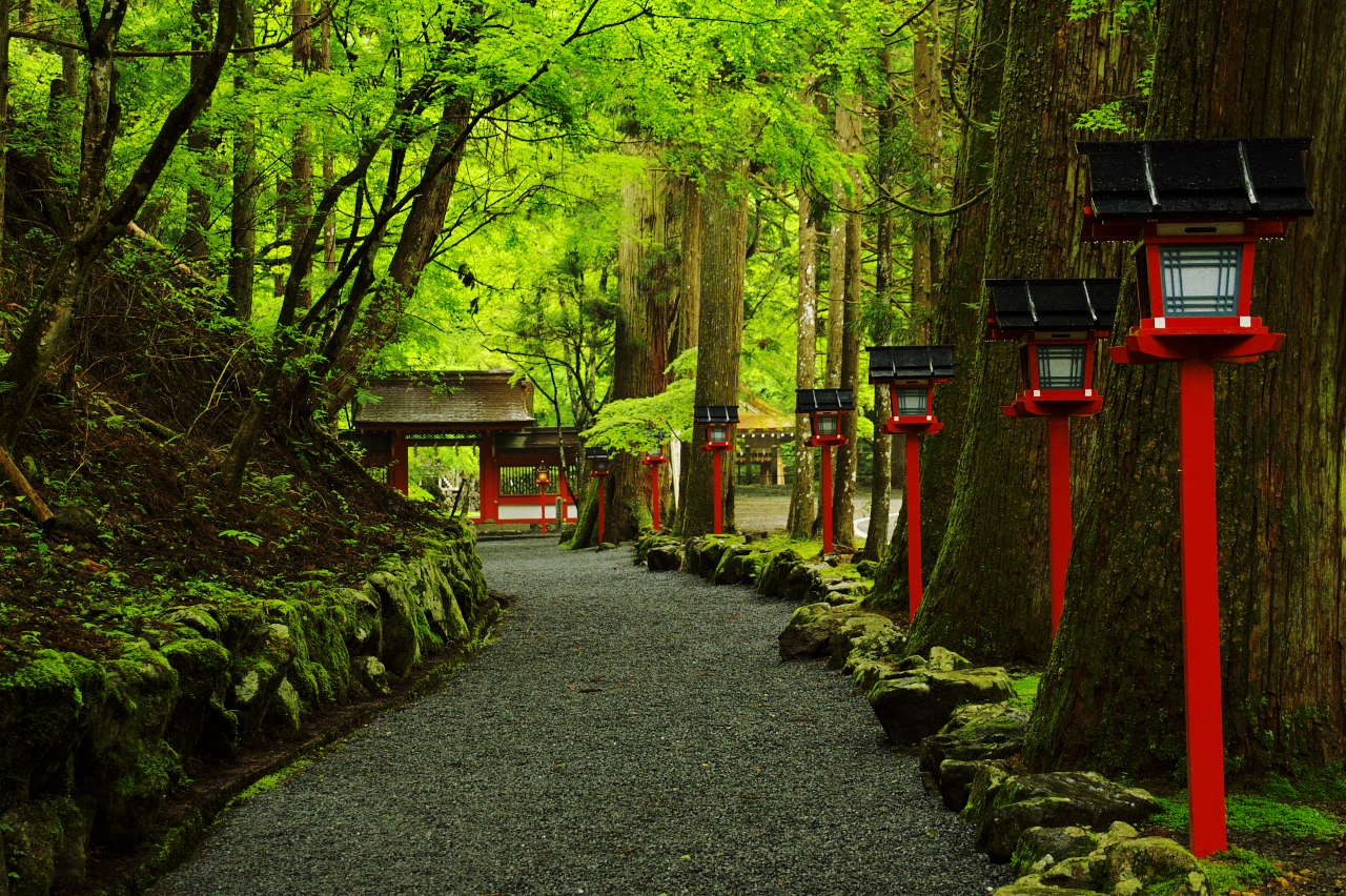 縁結び祈願は京都・貴船神社で！神様の失恋がもたらすパワースポットとは？