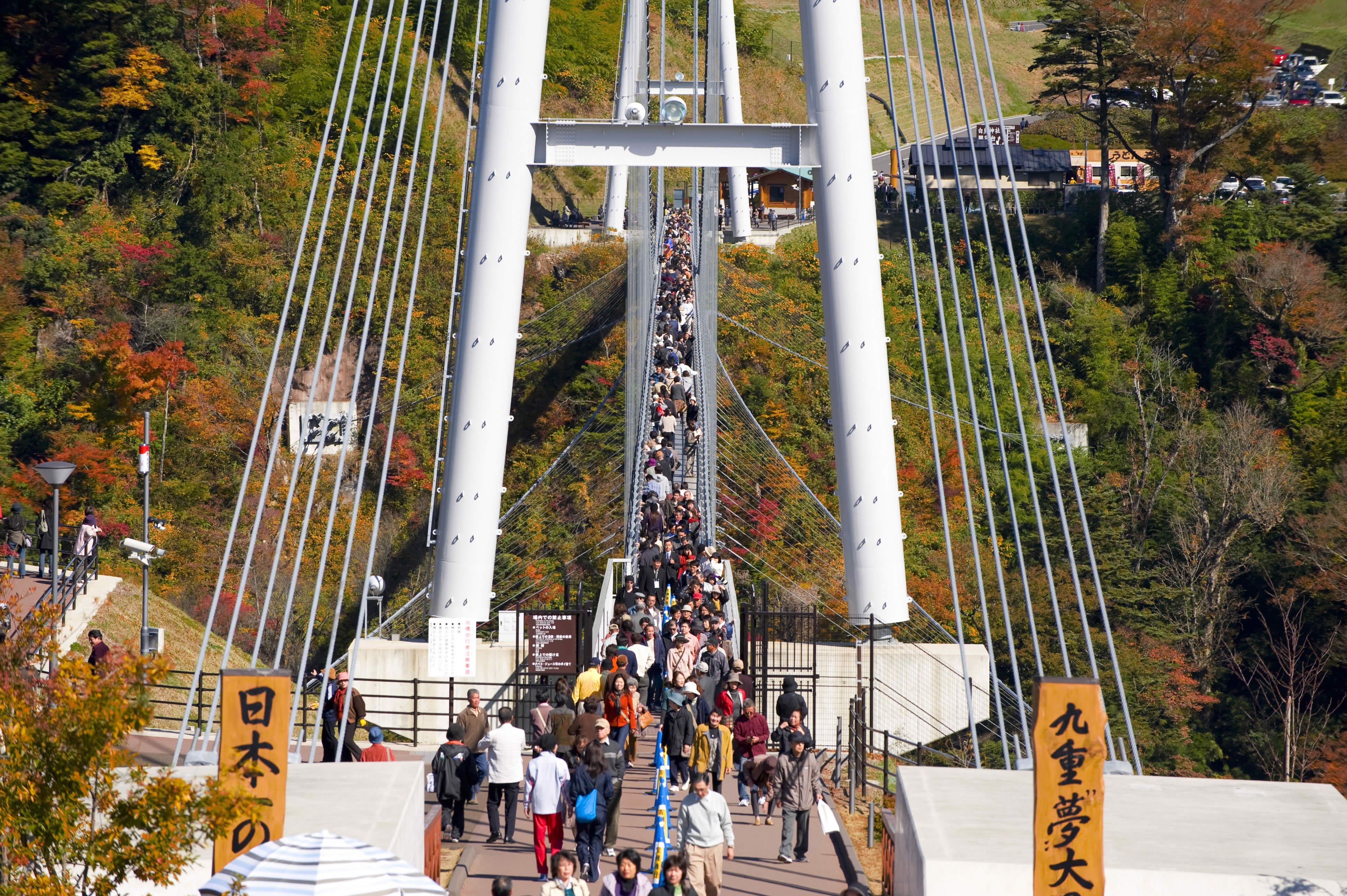 【全国】美しい景色と魅力いっぱいの「観光地の吊り橋」特集