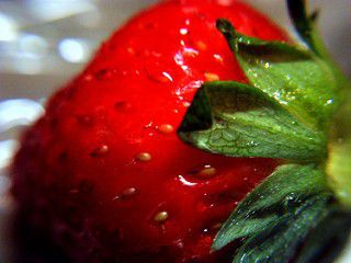 静岡県・伊豆deイチゴ狩り！たわわに実った新鮮苺が美味しい人気スポットまとめ