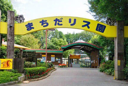 東京・町田リス園は子連れに人気のお出かけスポット！体験型ワークショップやイベントも