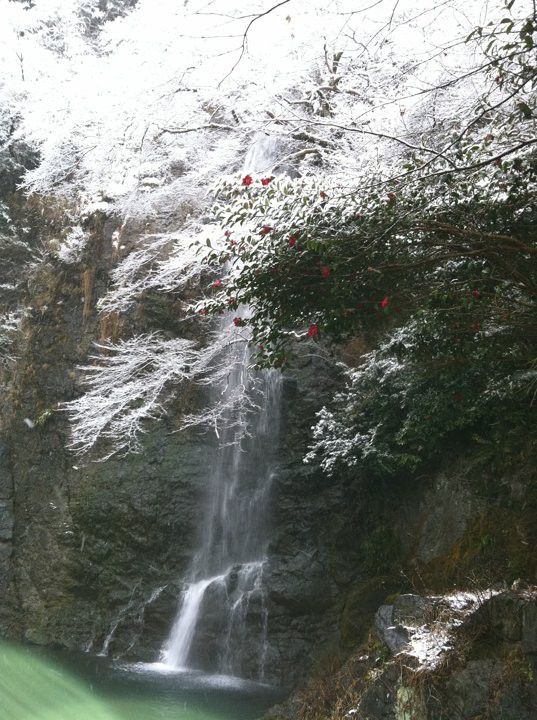 大阪・箕面滝の四季を楽しもう！美しき「日本の滝百選」の絶景特集