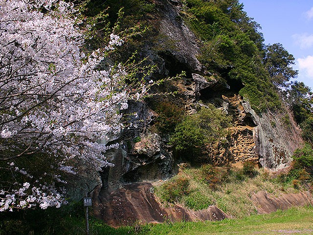 和歌山県古座川町の奇岩を見たい！日本の地質百選虫喰岩に出会う旅
