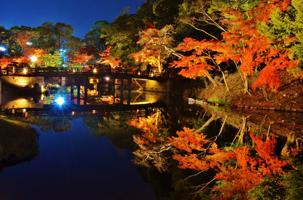 滋賀・琵琶湖近郊の玄宮園で絶景を！ライトアップされた夜景に釘づけ必至