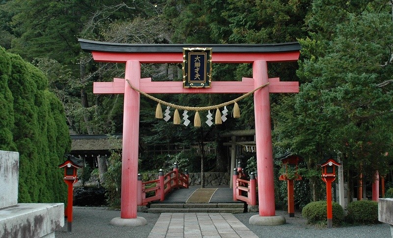 奈良・十津川村のパワースポット「谷瀬の吊り橋」が絶景！温泉や滝など周辺観光スポットも