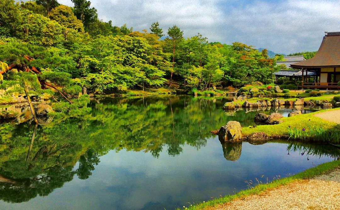 京都のおすすめ寺社散歩！天竜寺の基礎知識と四季別楽しみ方まとめ