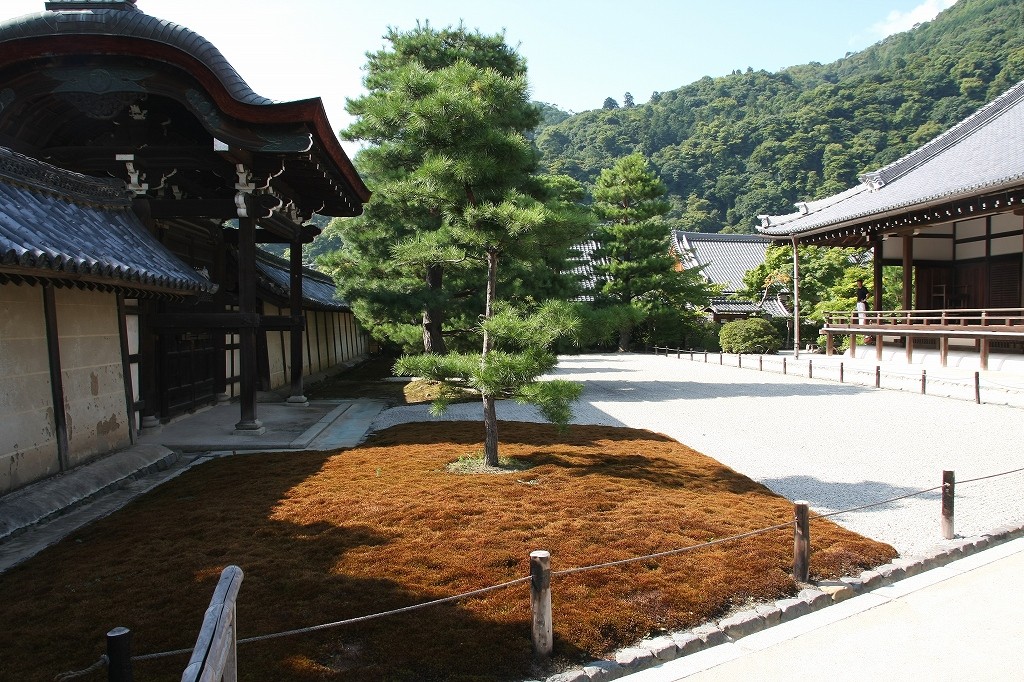京都のおすすめ寺社散歩！天竜寺の基礎知識と四季別楽しみ方まとめ