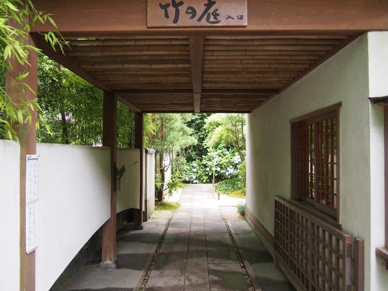 鎌倉で人気の観光スポット「報国寺」見どころ５選！美しい竹林や座禅の体験も！