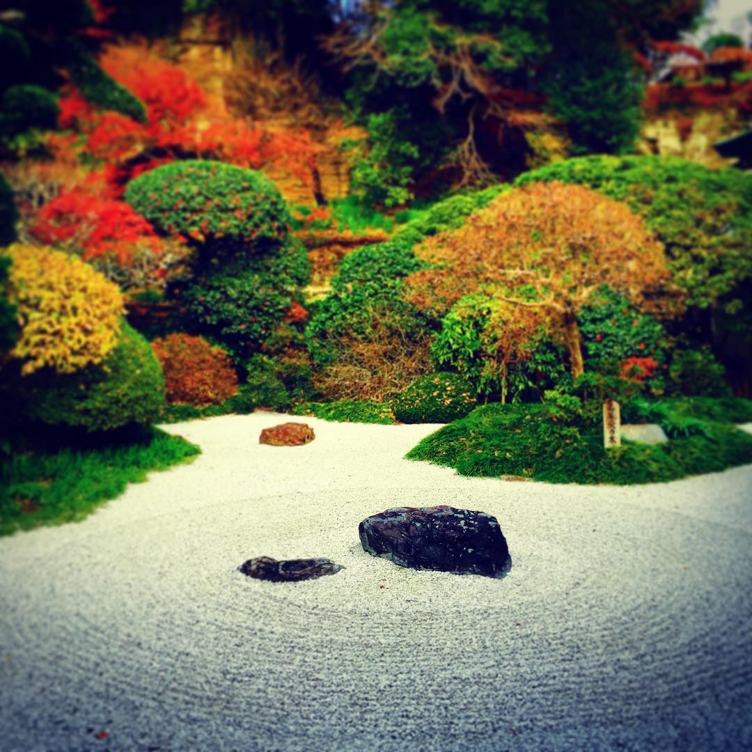 鎌倉で人気の観光スポット「報国寺」見どころ５選！美しい竹林や座禅の体験も！