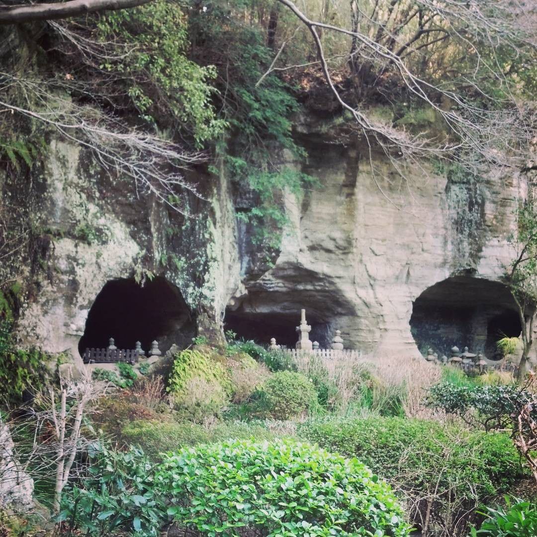 鎌倉で人気の観光スポット「報国寺」見どころ５選！美しい竹林や座禅の体験も！