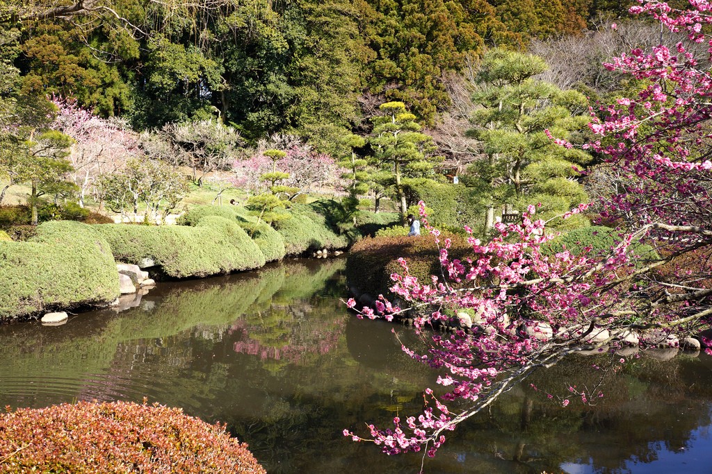 茨城県・偕楽園周辺の観光スポット！関東を代表する庭園を味わう旅