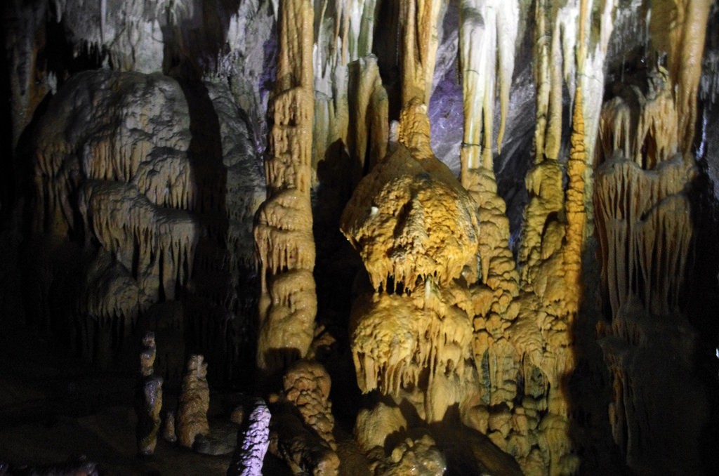 スロベニアで行くべき観光スポット「ポストイナ鍾乳洞」が規格外の美しさ！