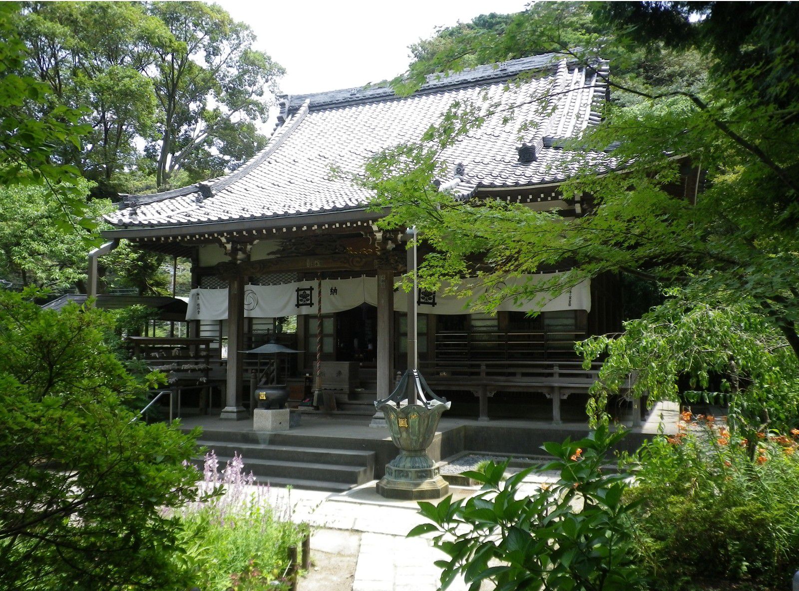 鎌倉散歩・天然記念物の桜を愛で安国論寺へ！日蓮上人ゆかりのお寺で四季の花を観賞しよう