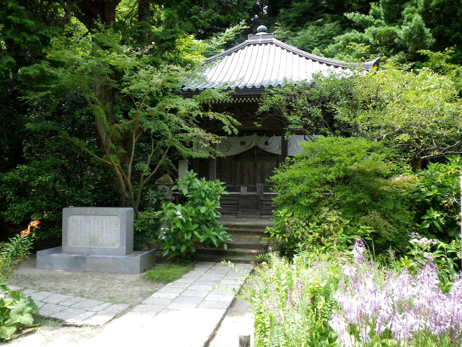 鎌倉散歩・天然記念物の桜を愛で安国論寺へ！日蓮上人ゆかりのお寺で四季の花を観賞しよう