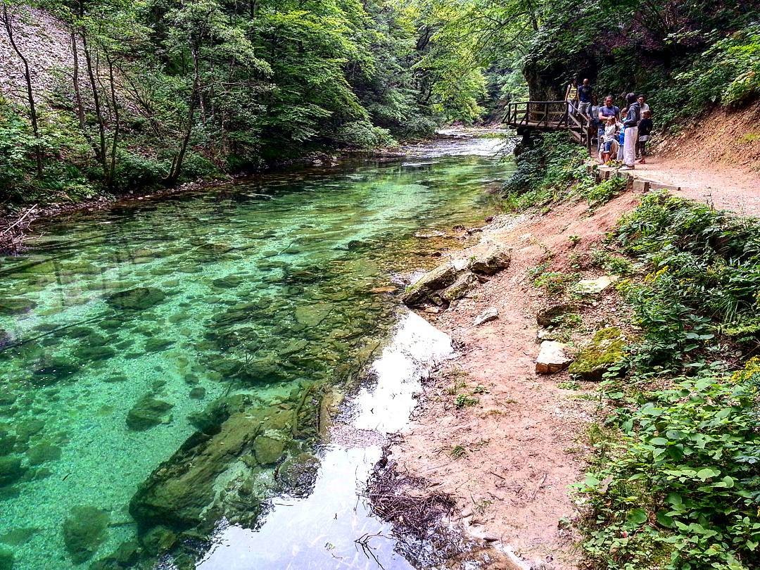 スロベニア旅行で必ず行くべき絶景観光スポット「ヴィントガル渓谷」の魅力