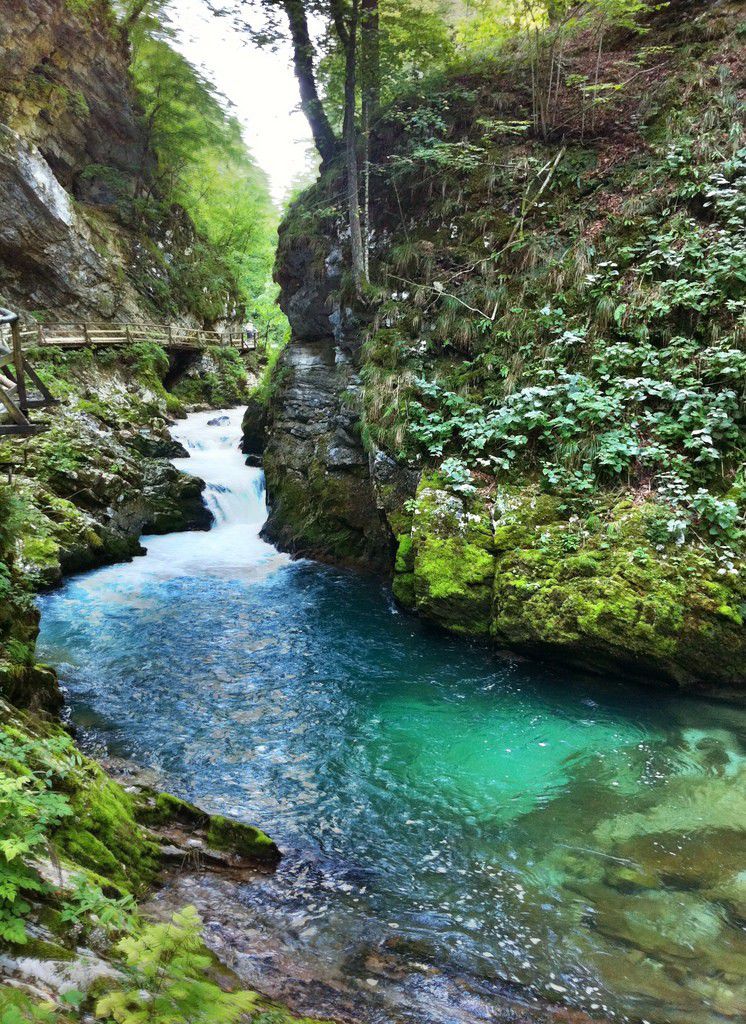 スロベニア旅行で必ず行くべき絶景観光スポット「ヴィントガル渓谷」の魅力