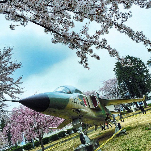 【埼玉】自衛隊の熊谷基地でお花見ができる♪1日限定の「さくら祭」に潜入！