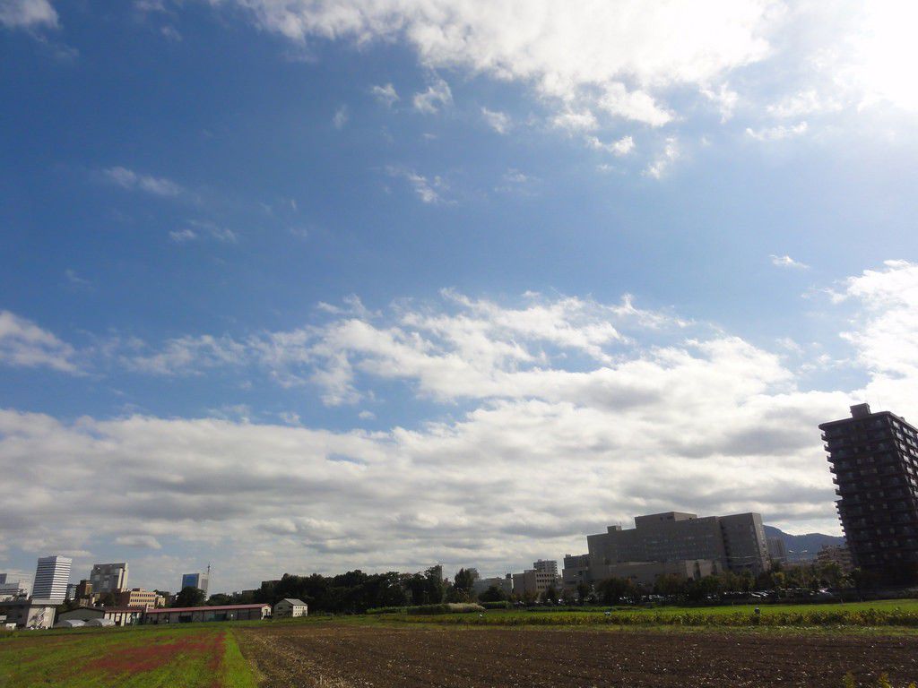 北海道旅行の穴場「北海道大学キャンパス」観光スポット特集！隠れた巨大観光地を巡るプラン
