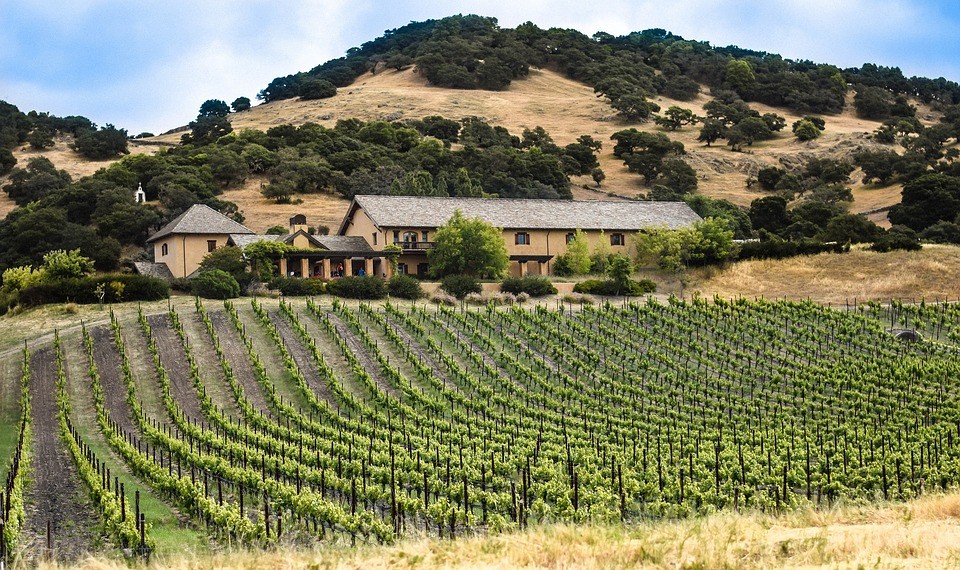 カリフォルニアワインを巡る旅！サンフランシスコからナパバレーで行くべきワイナリー４選