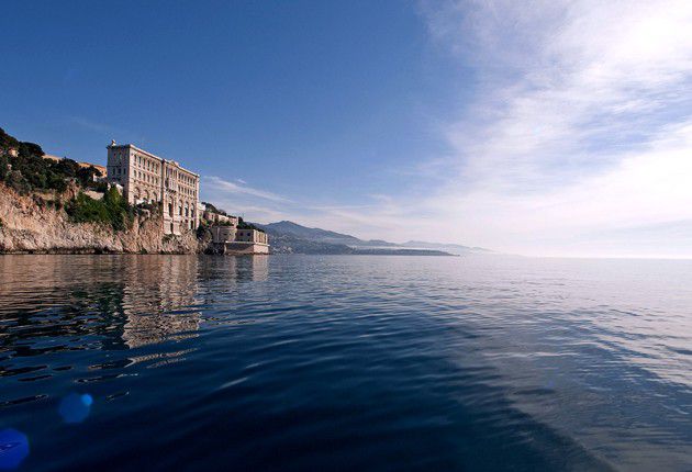 【モナコ】海上の水族館Temple de la Mer！フランス・ニースから週末旅行！