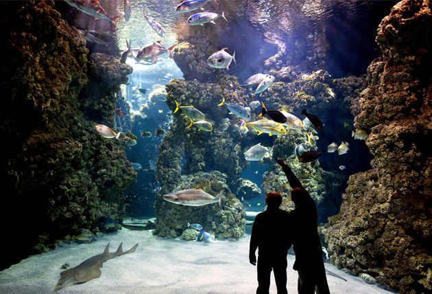 【モナコ】海上の水族館Temple de la Mer！フランス・ニースから週末旅行！