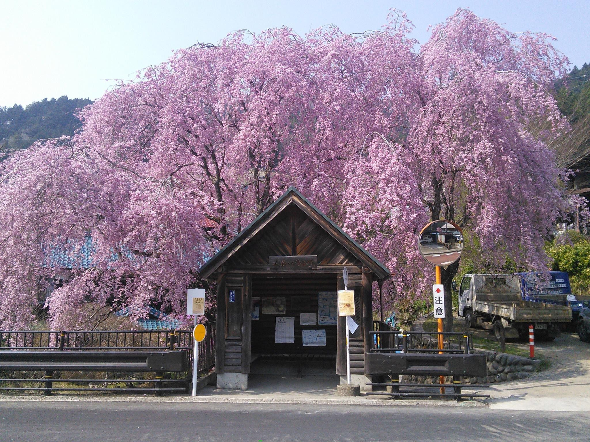 ノスタルジックな風景と人のぬくもり…東京唯一の村「檜原村」が素敵