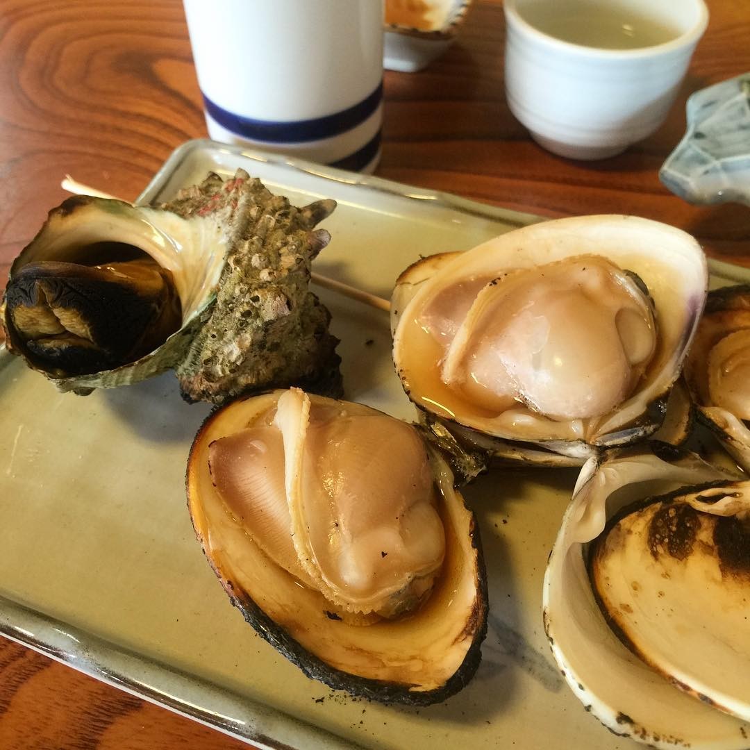 江ノ島おすすめ観光＆グルメスポット！新江ノ島水族館に生しらすも！