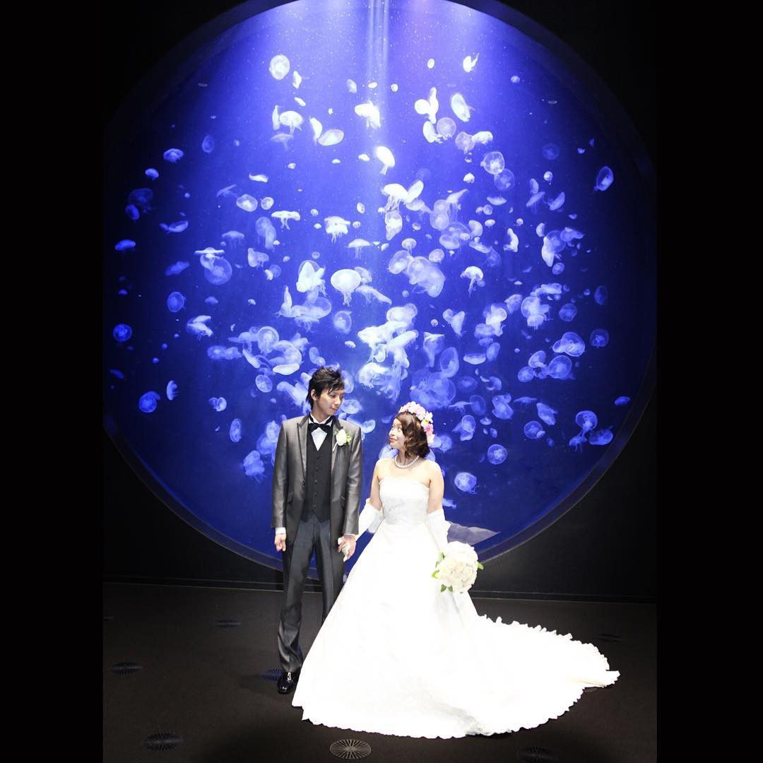 山形県鶴岡の人気スポット「加茂水族館」！クラゲがつくりだす神秘の世界