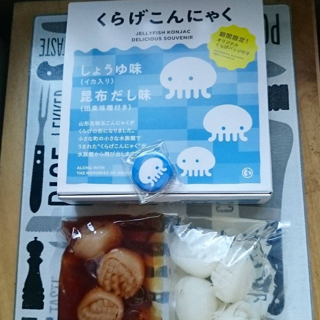 山形県鶴岡の人気スポット「加茂水族館」！クラゲがつくりだす神秘の世界