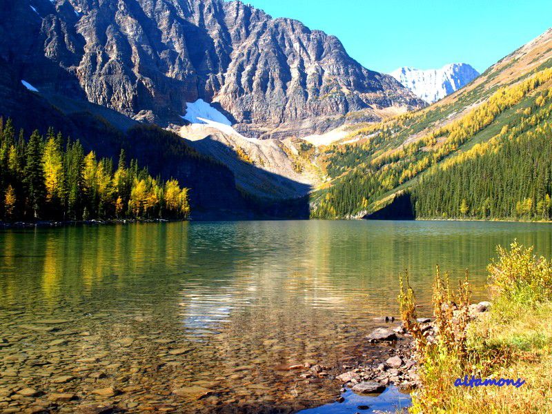 カナダで人気の季節別アクティビティプランまとめ！自然とたわむれる旅