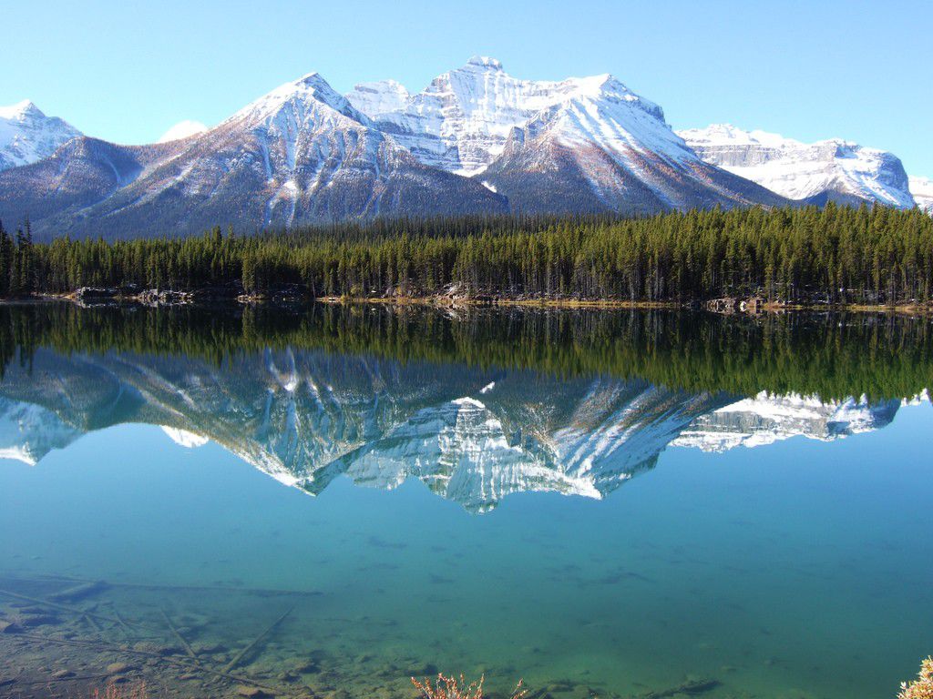 カナダで人気の季節別アクティビティプランまとめ！自然とたわむれる旅