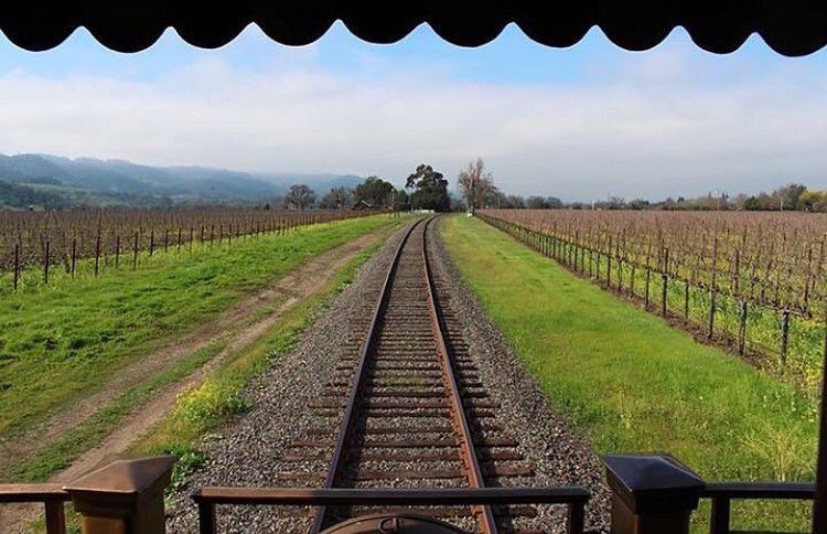 カリフォルニアワインの産地ナパバレーへ！列車でワイナリーに行こう