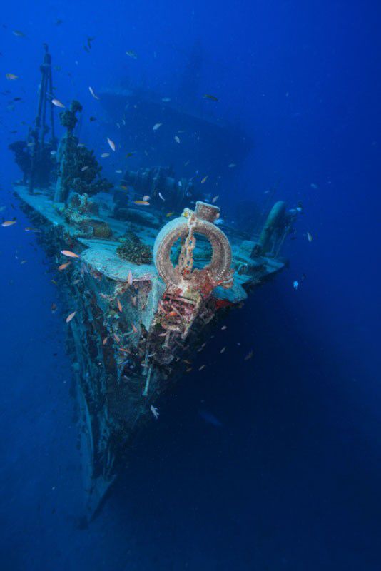 ニューカレドニアの人気ダイビングスポット7選！ ヌメアの海にチャレンジ