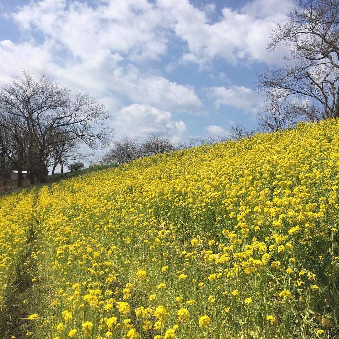 千葉房総マザー牧場特集！家族旅行にぴったり♡可愛い動物たちがお出迎え