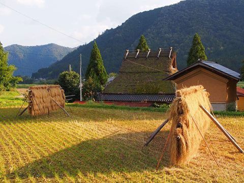 京都 美山の見どころ特集！秋冬が美しい懐かしい山村の面影を探す旅へ出よう