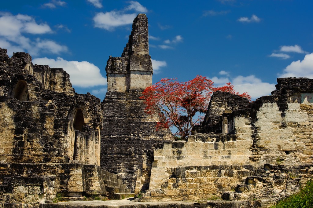 グアテマラ・マヤ文明遺跡ティカルの観光スポットまとめ！巨大宗教都市を探索しよう