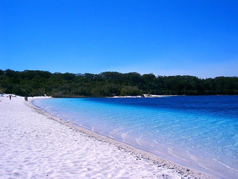オーストラリア・フレーザー島の楽しみ方まとめ！巨大な砂の島で80万年の歳月を感じよう