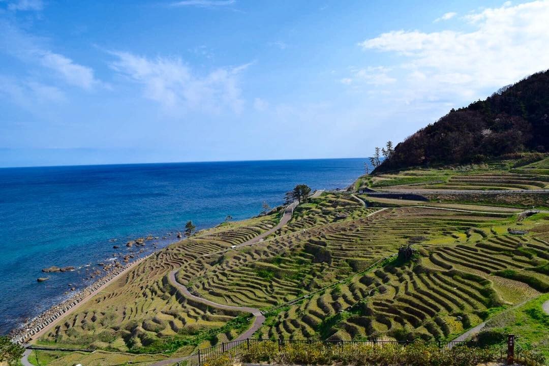 石川県輪島・能登半島の棚田「白米千枚田」を見に行こう！日本海に面した絶景鑑賞