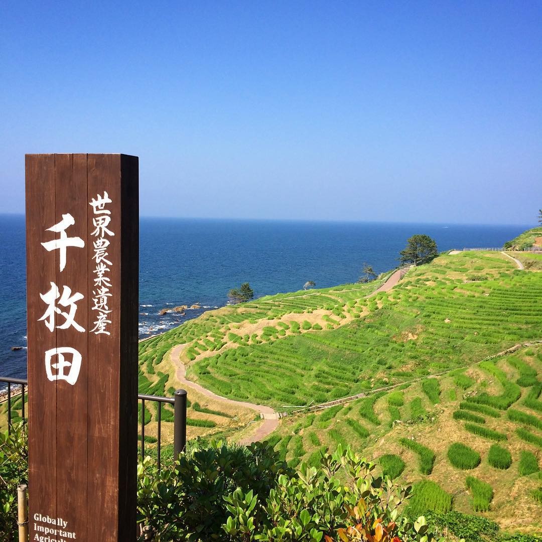石川県輪島・能登半島の棚田「白米千枚田」を見に行こう！日本海に面した絶景鑑賞