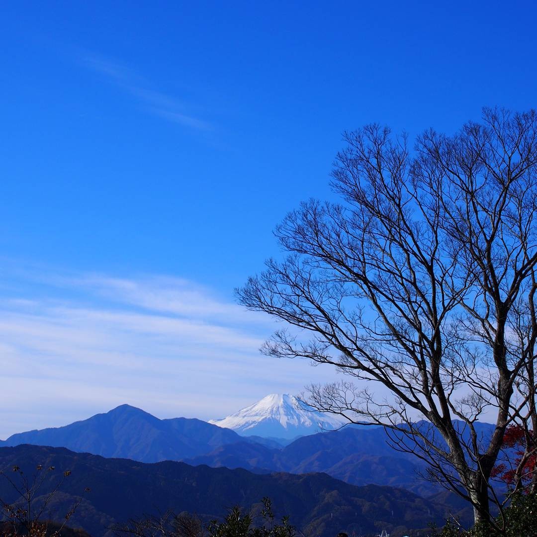 東京八王子・高尾山徹底攻略！都内屈指のパワースポットで絶景＆グルメチェック