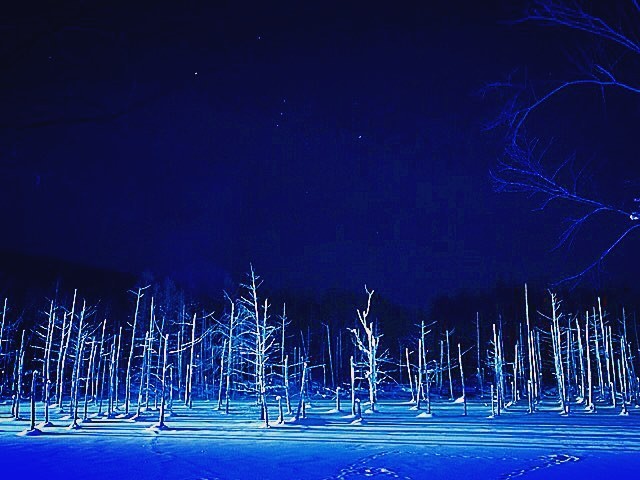 北海道・美瑛旅行の人気スポット「青い池」特集！コバルトブルーの神秘スポットへ