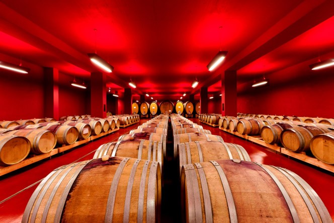 イタリア老舗ワイナリー”トラミン”でワインの秘密を学ぶ旅へ！知れば知るほど美味しい！