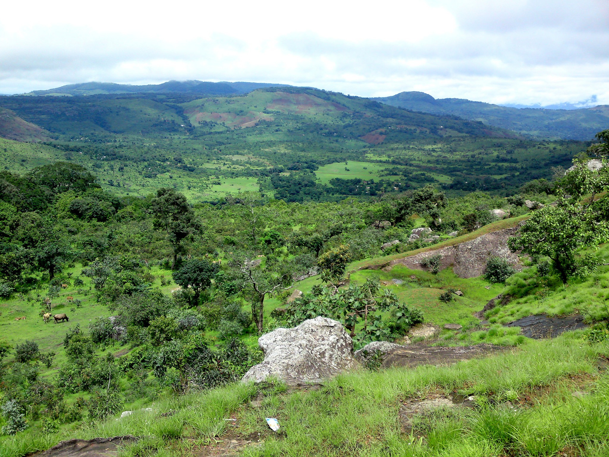 ギニアで人気の観光名所5選！手つかずの自然が残る癒されプラン