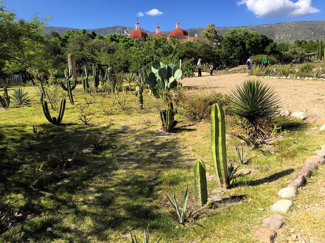 メキシコ遺跡観光オアハカ・ミトラの見どころ特集！一風変わった遺跡の魅力に迫る