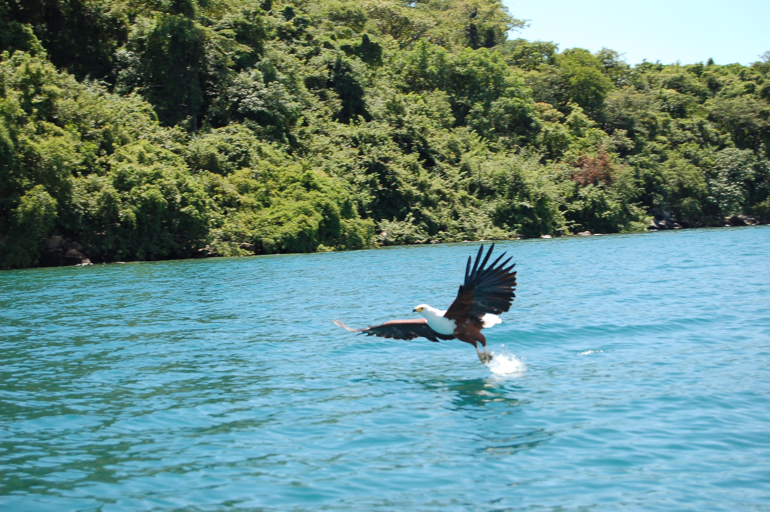 アフリカ旅行で世界自然遺産マラウィ湖へ！ダイビング＆孤島観光旅行記